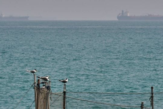 Τρία φορτηγά πλοία δέχθηκαν σήμερα πυρά στα Στενά του Ορμούζ - Τι γνωρίζουμε για το ελληνόκτητο